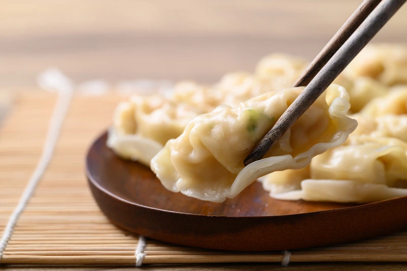 potsticker wontons recipes