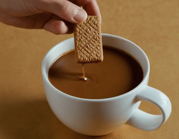 Biscoff Tiramisu: A Decadent Coffee & Spice Dessert 2 Spice cookie tiramisu